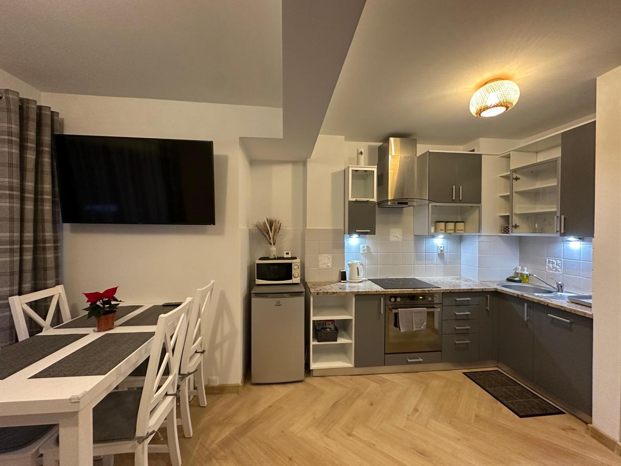 Apartament Skandynawska Prostota Z Basenem I Sauna Koscielisko Exterior photo